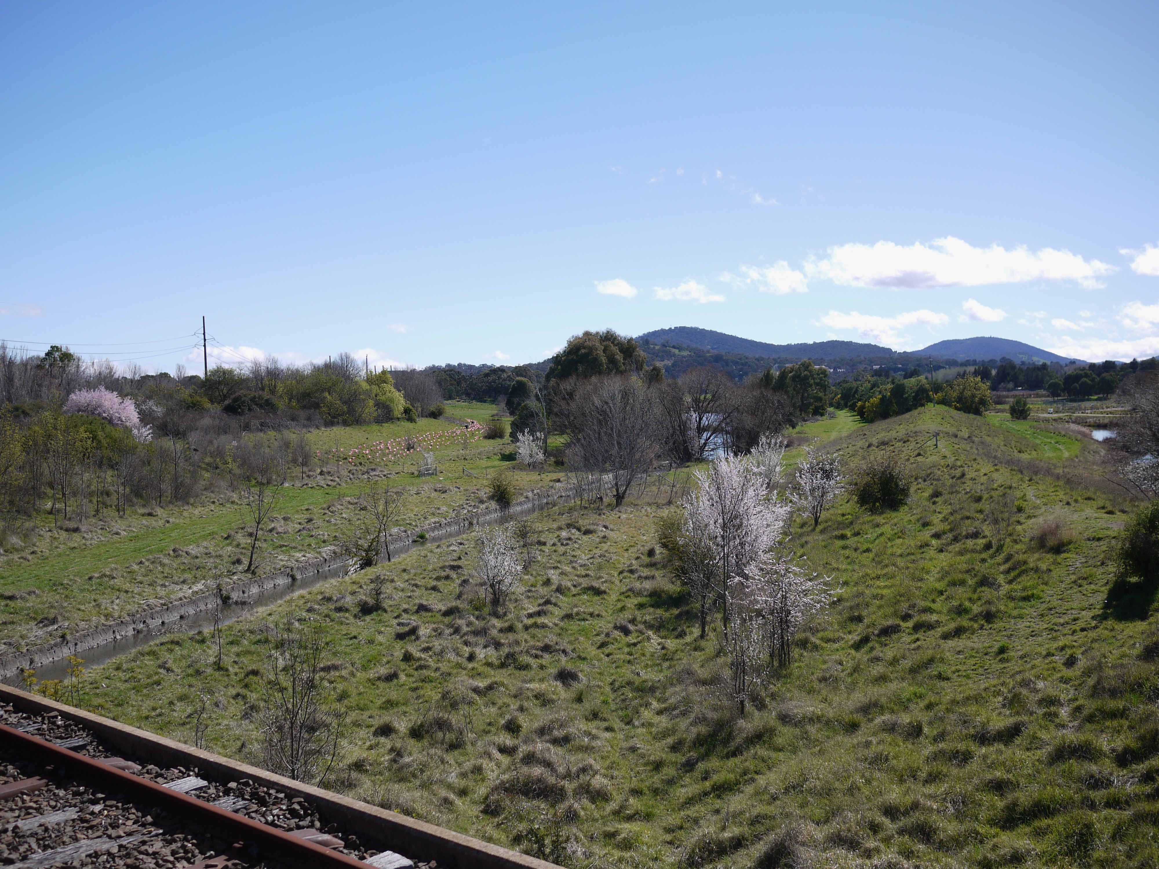 A small valley from the train, with green grass and a number of blossoming trees